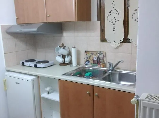 το πέτρινο 2 Apartment *